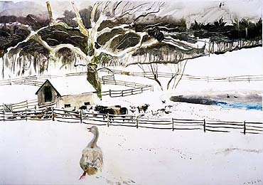 The Goose with Blue Eyes - Jamie Wyeth print,  farm, snow, galloway cows